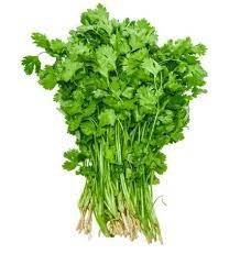 Coriander leafs