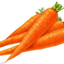 Organic Fresh Carrots